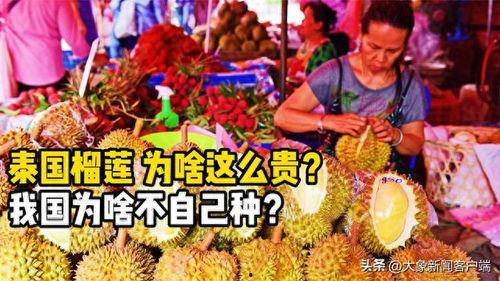 91华人国产,融合创新,共筑繁荣未来